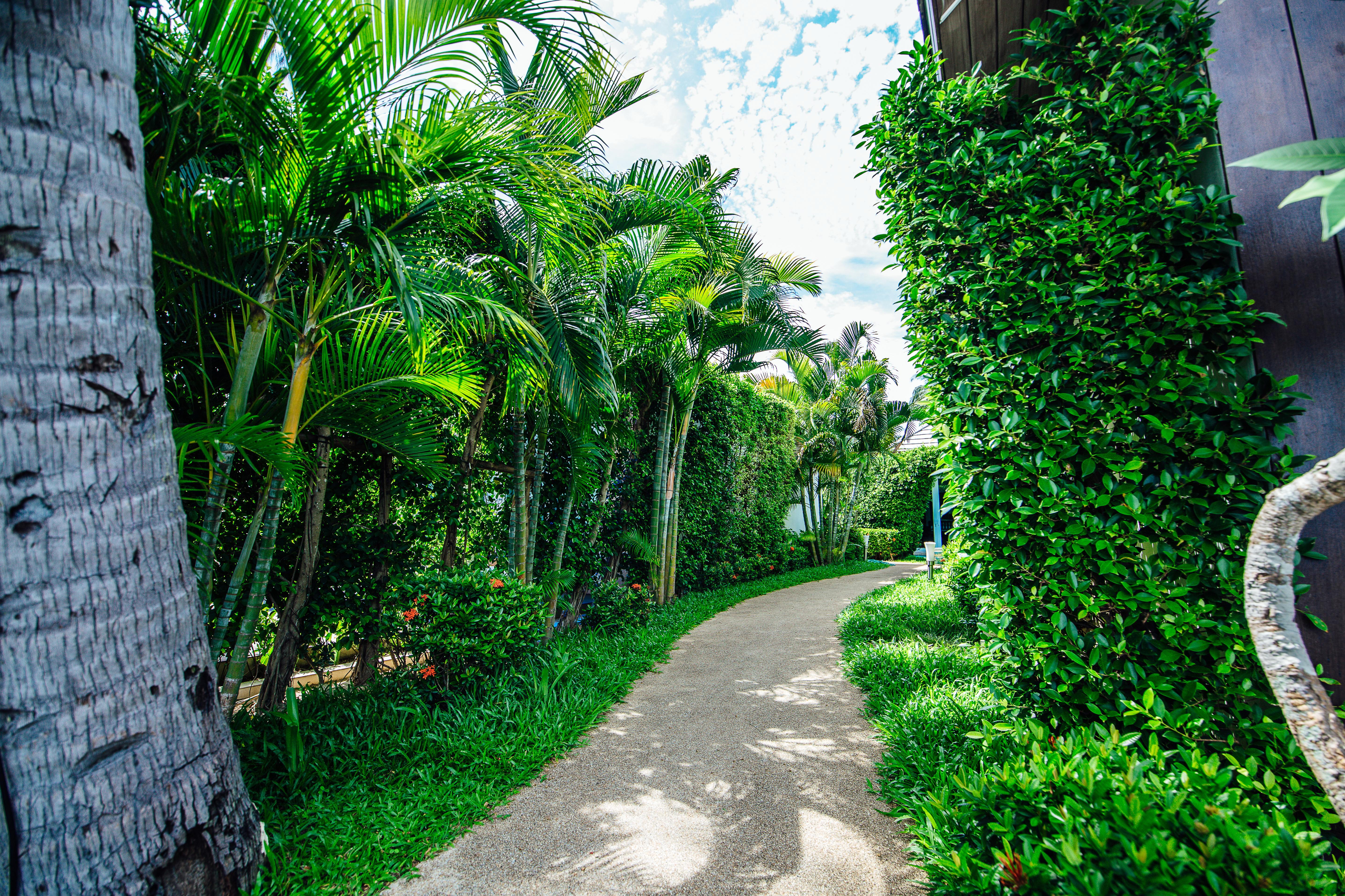 Sea Valley Resort Lipa Noi Eksteriør billede